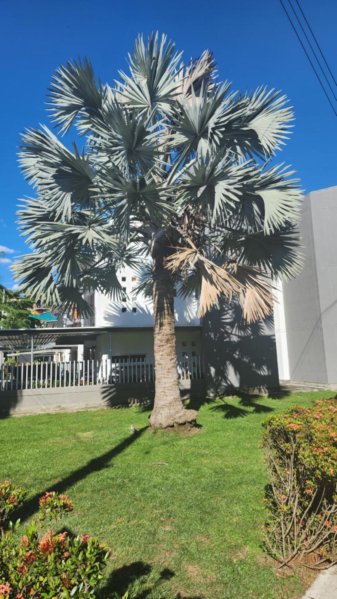 Apartasol Club Ciudadela Santa Fe - Санта Фе де Антиокия Екстериор снимка